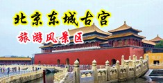 啊啊啊啊用力考逼视频中国北京-东城古宫旅游风景区